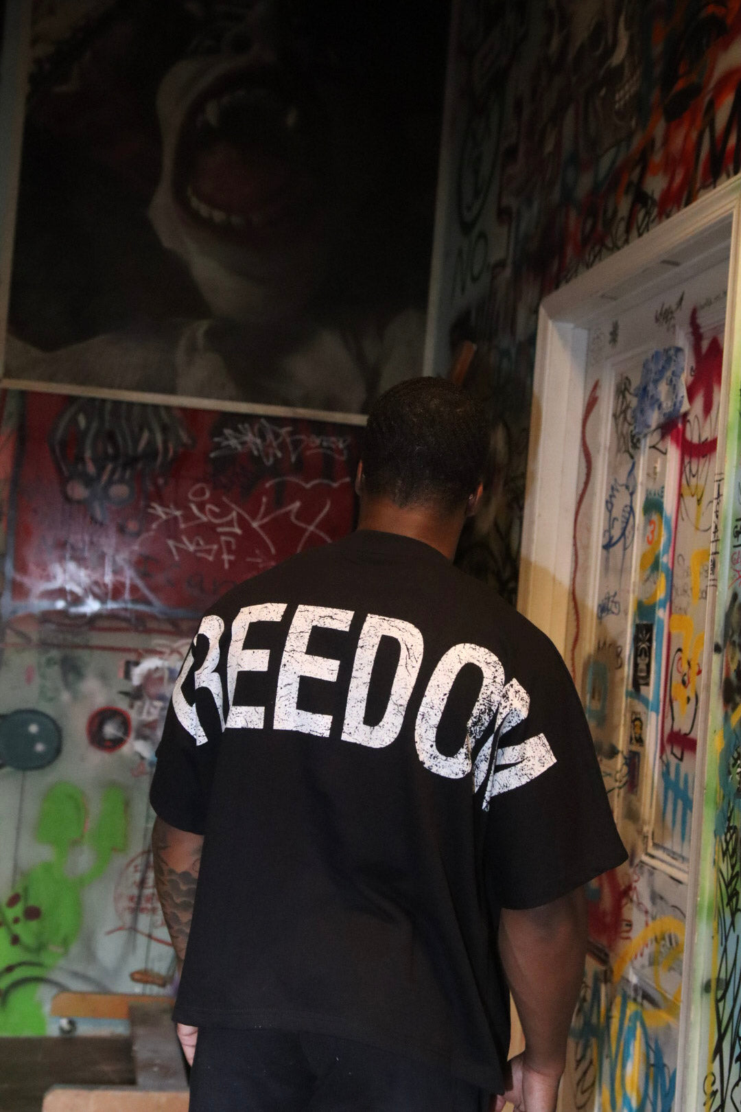 Freedom boxy Tshirt